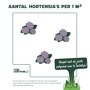Aantal planten per m2